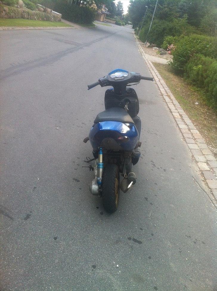 Aprilia sonic Solgt billede 10