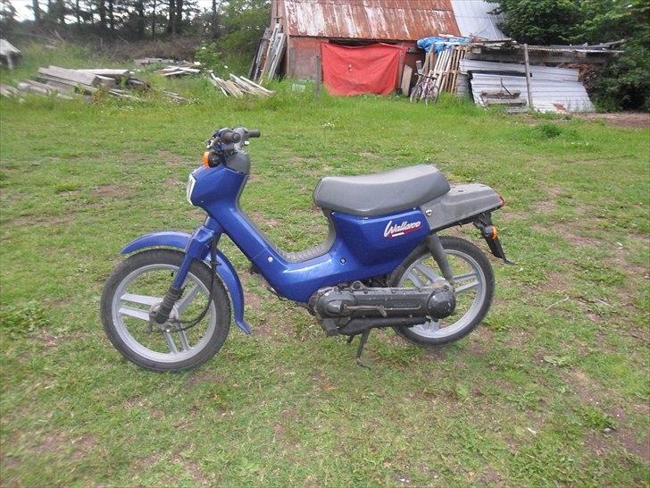 Honda Wallaroo [SOLGT] - Billede taget d.20-6-11 billede 1