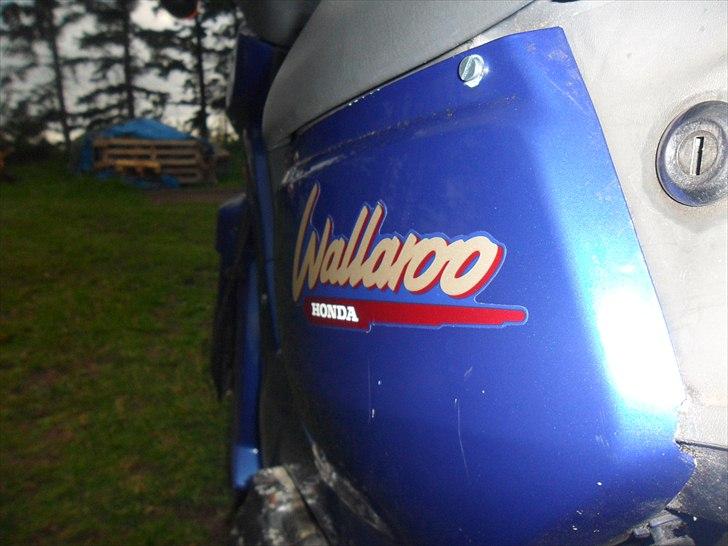 Honda Wallaroo [SOLGT] billede 3