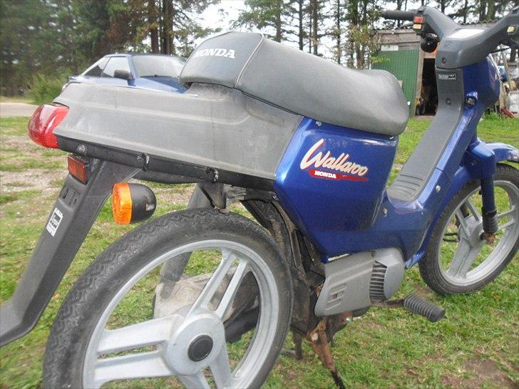 Honda Wallaroo [SOLGT] billede 6