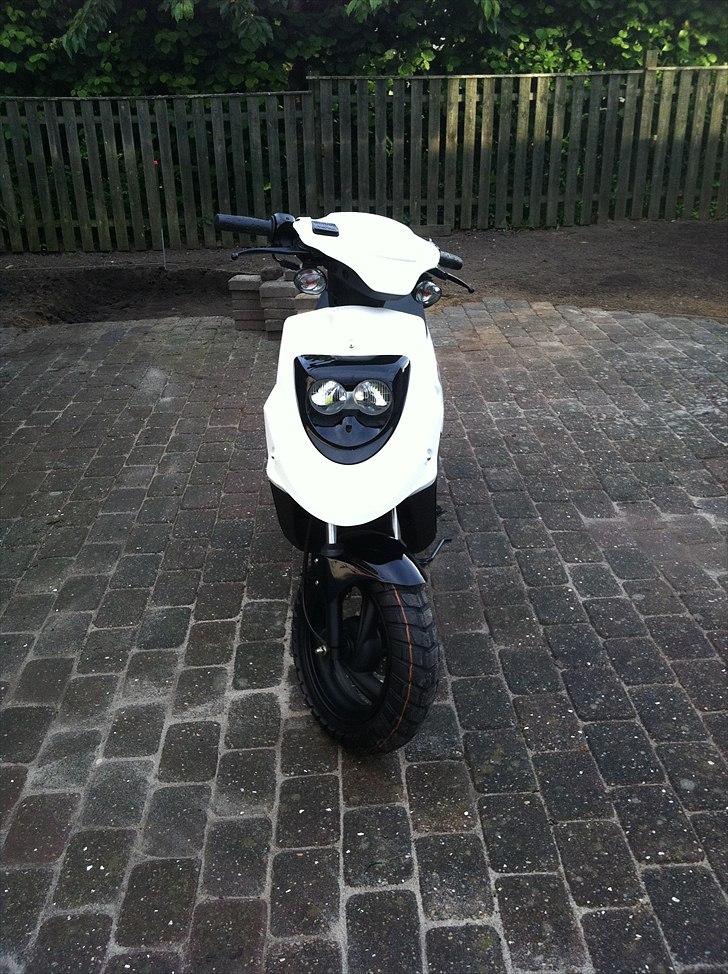 PGO Hot 50 Special model   billede 1