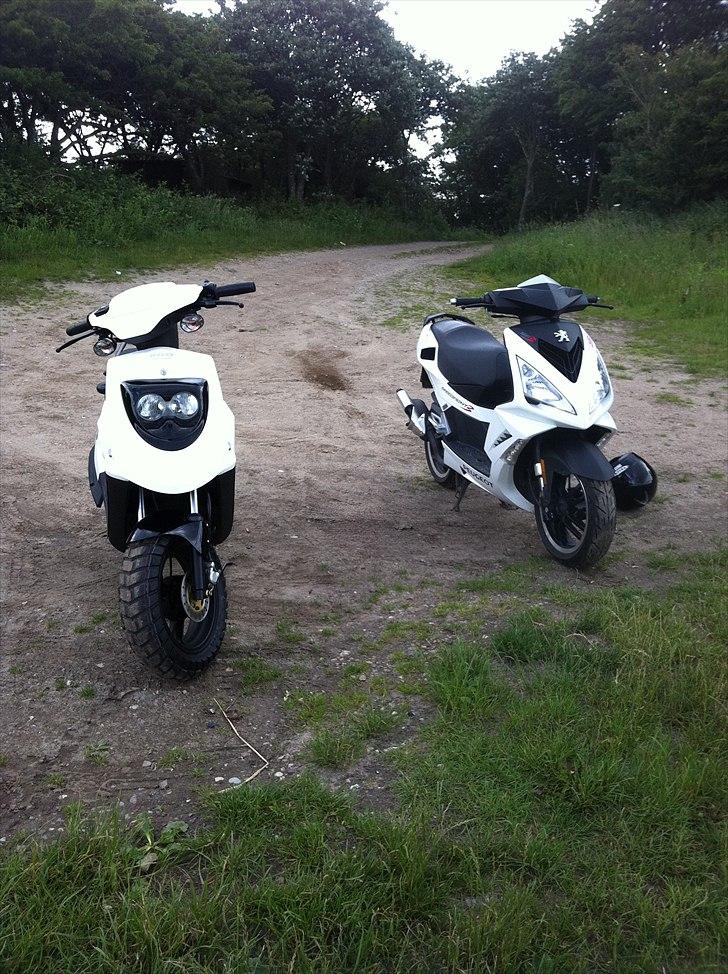 PGO Hot 50 Special model   billede 13