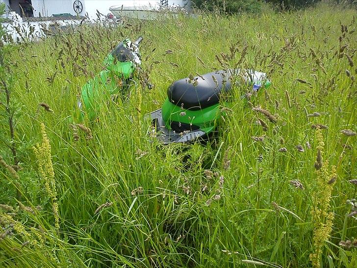 PGO dr big *byttet* billede 18