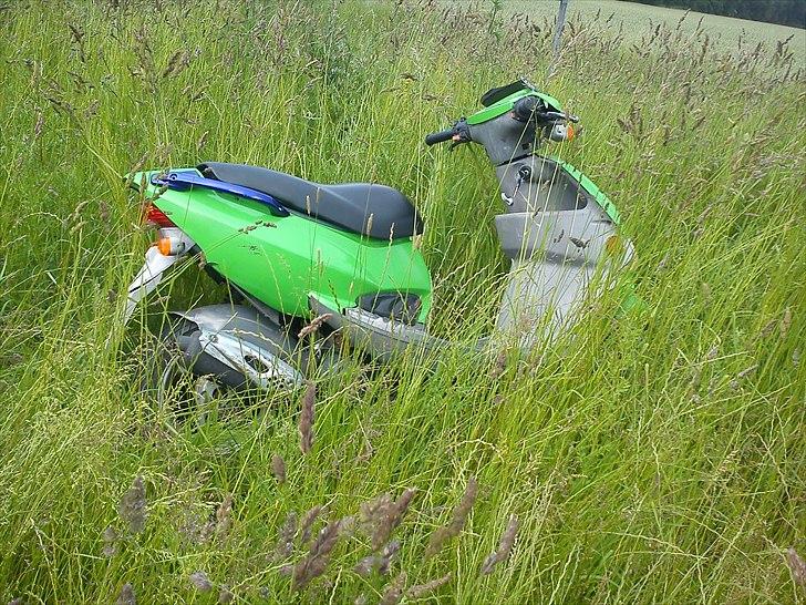 PGO dr big *byttet* billede 19