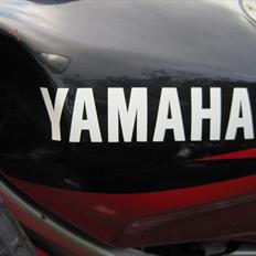 Yamaha TZR 50 LC DD