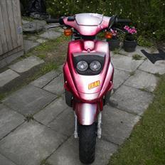 PGO Big Max (Byttet)
