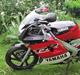 Yamaha TZR 50 LC DD