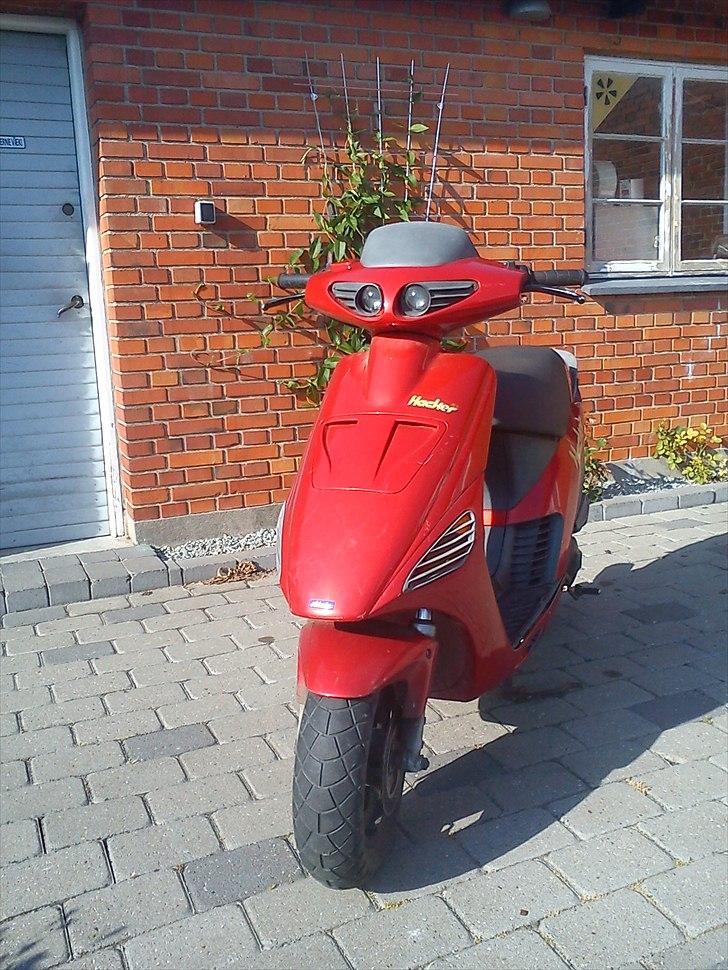 Atala hacker byttet til jog billede 1