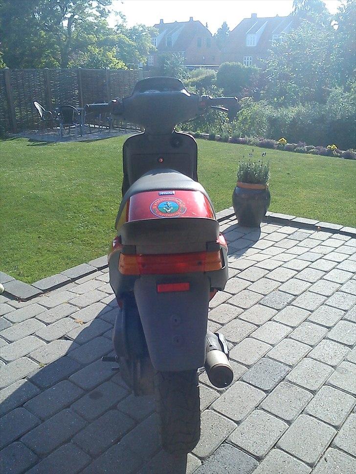 Atala hacker byttet til jog billede 3