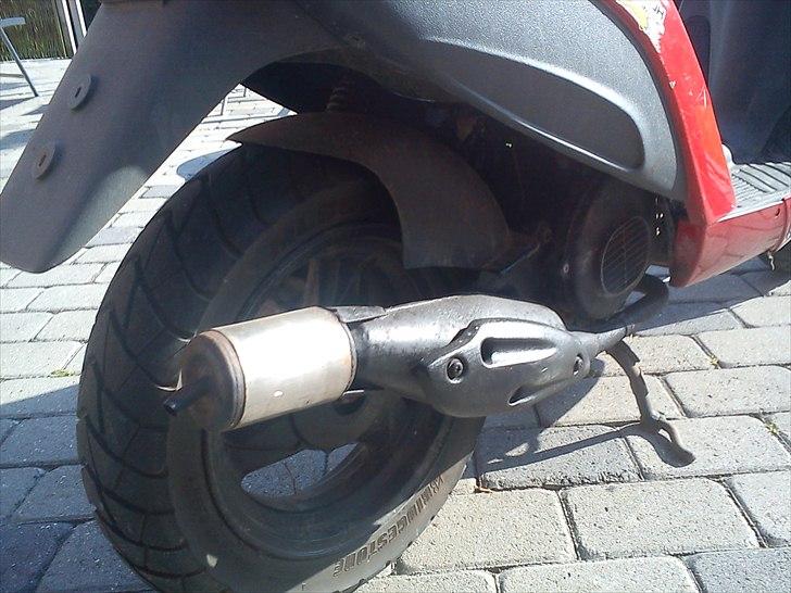 Atala hacker byttet til jog billede 4