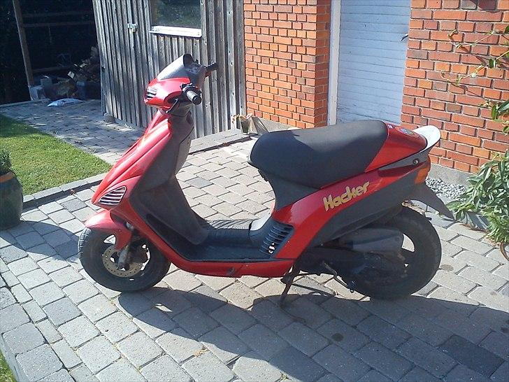 Atala hacker byttet til jog billede 5