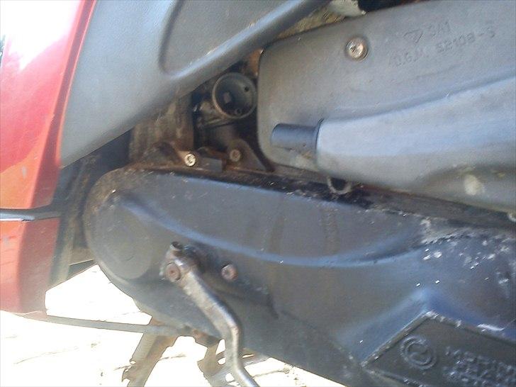 Atala hacker byttet til jog billede 6