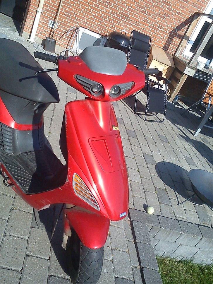 Atala hacker byttet til jog billede 8