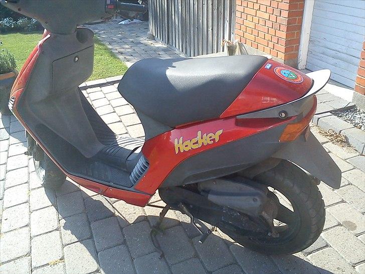 Atala hacker byttet til jog billede 9