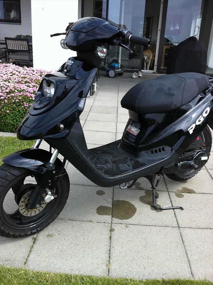 PGO hot 50 billede 3