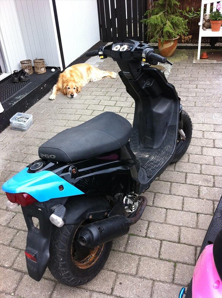 PGO Hot 50 "Lynet" (solgt) billede 6