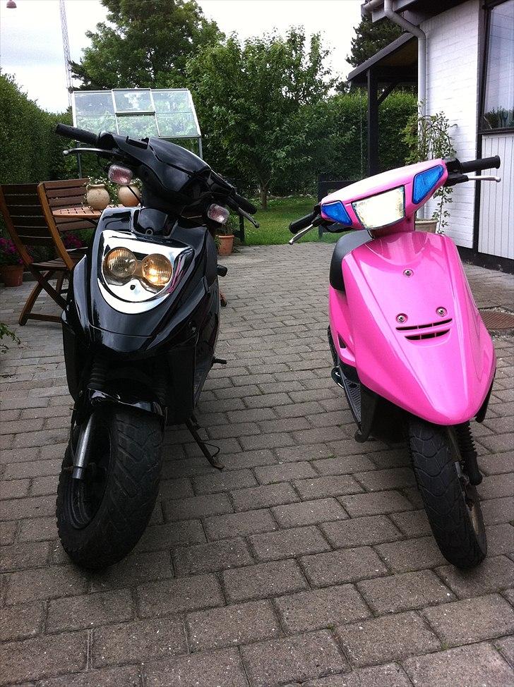 PGO Hot 50 "Lynet" (solgt) billede 8