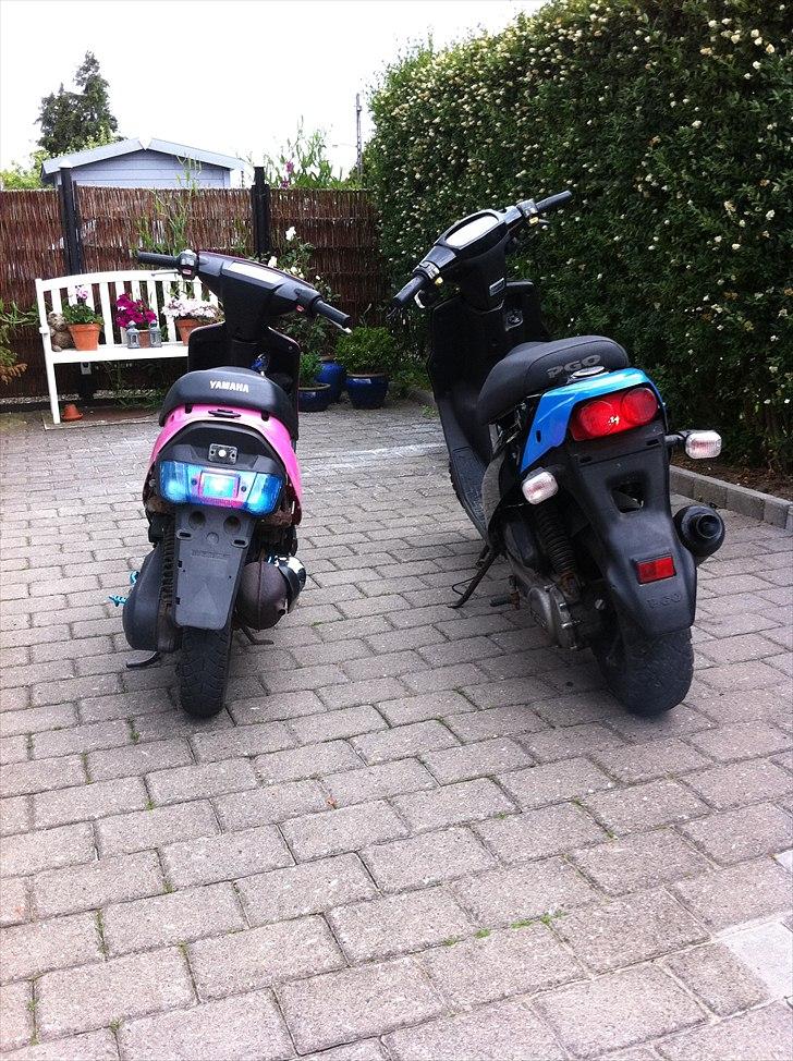 PGO Hot 50 "Lynet" (solgt) billede 9