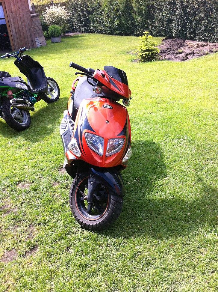 PGO Dr. Big 8,95HK billede 1