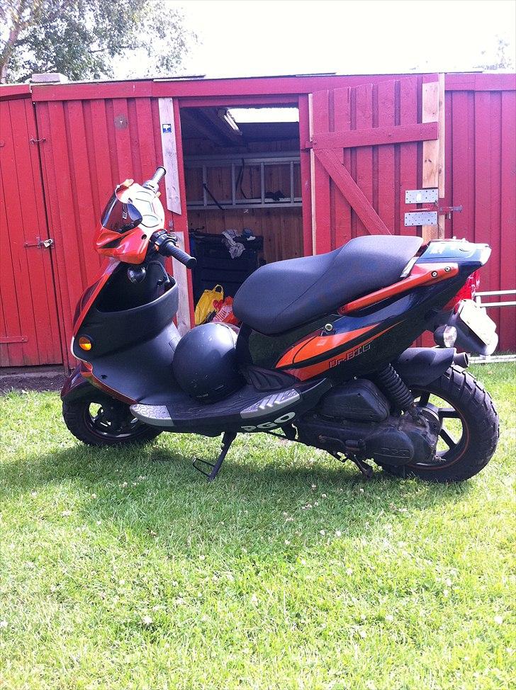 PGO Dr. Big 8,95HK billede 2