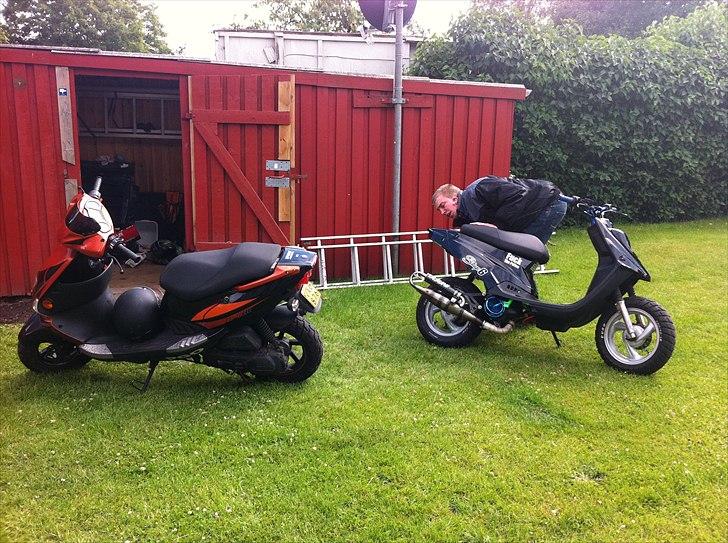 PGO Dr. Big 8,95HK billede 6