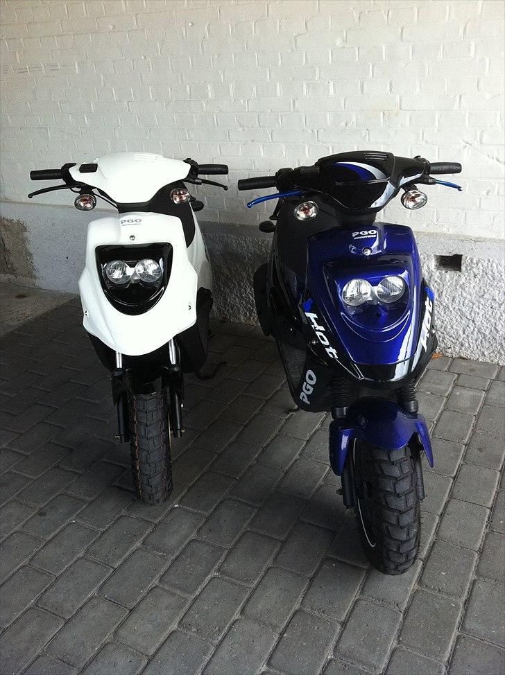 PGO Hot 50 Special model   billede 15