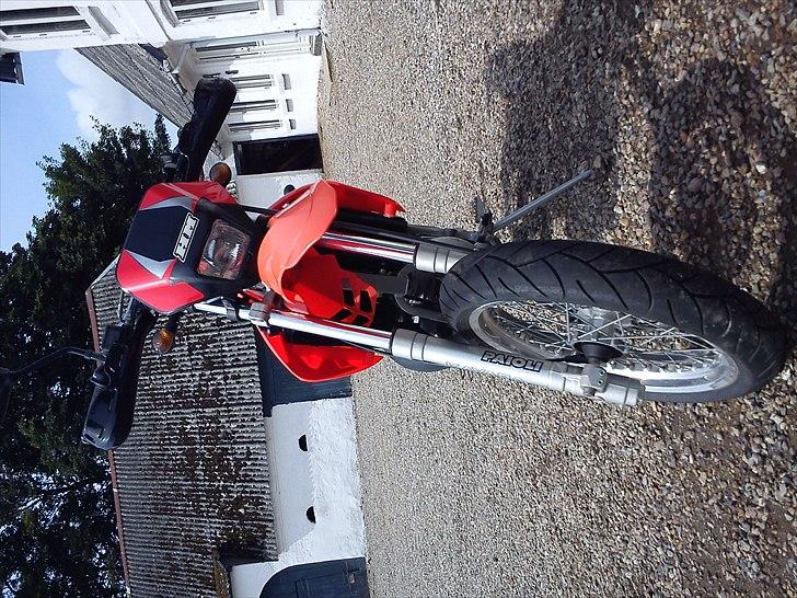 Honda Montesa billede 14