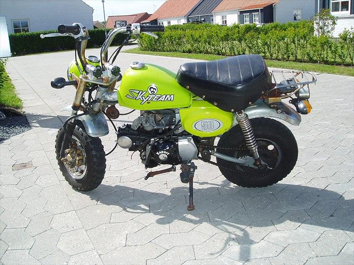 Skyteam monkey billede 1