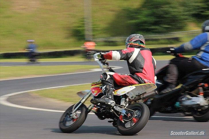 Zoot SM BR SOLGT! billede 4