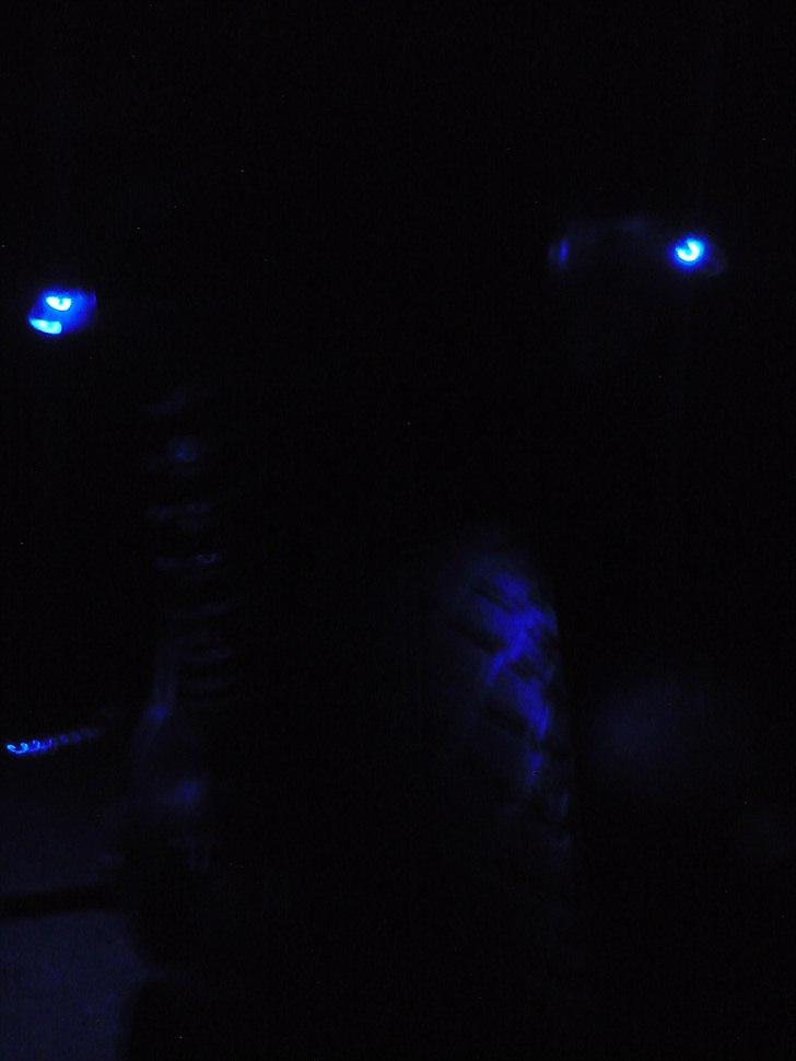 Gilera Stalker | SOLGT 6600,- | - Lidt dioder. billede 18