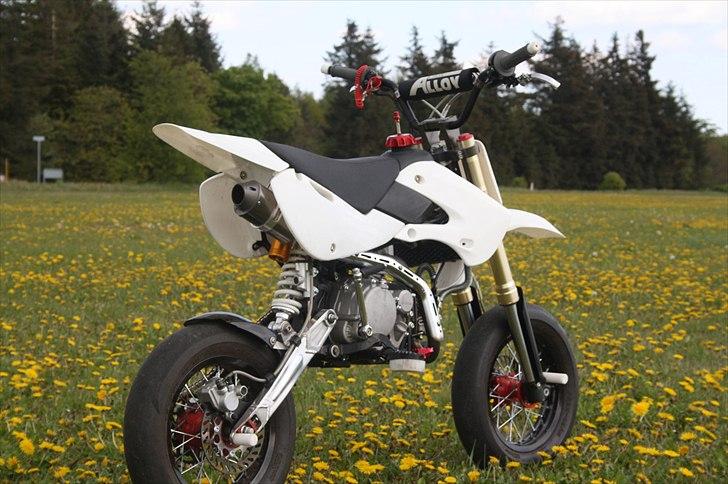 Zoot SM RB - på en flot blomster mark et sted her hjemme! billede 12