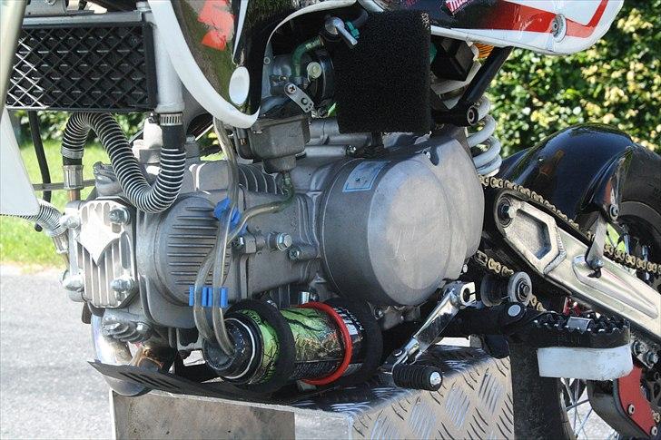 Zoot SM RB - som den ser ud idag den 27 juni kl 14:59. i 28graders varme! billede 5