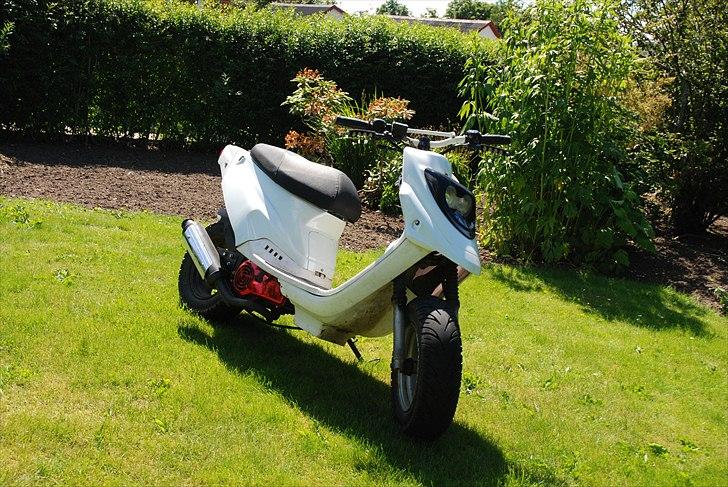 PGO Hot 50 billede 3