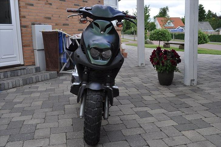 PGO PMX Sport   TILSALG  billede 8