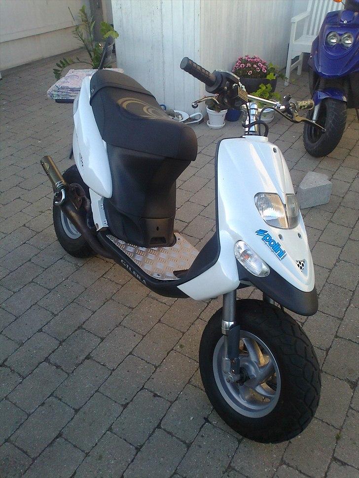 Gilera Stalker (*SUSSI*) (BYTTET TIL JOG'R) billede 1