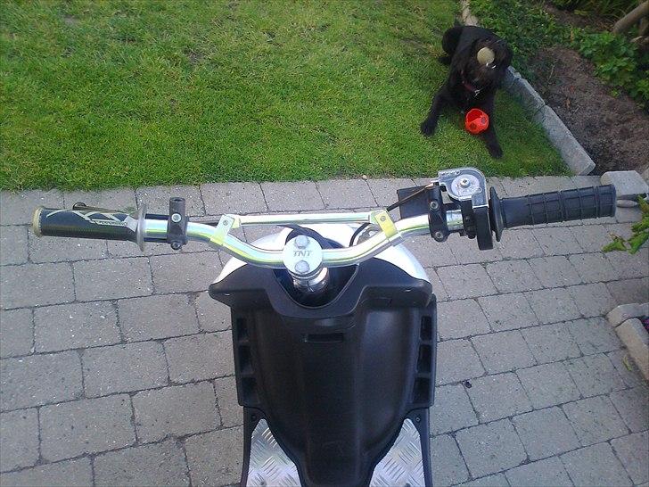 Gilera Stalker (*SUSSI*) (BYTTET TIL JOG'R) billede 6