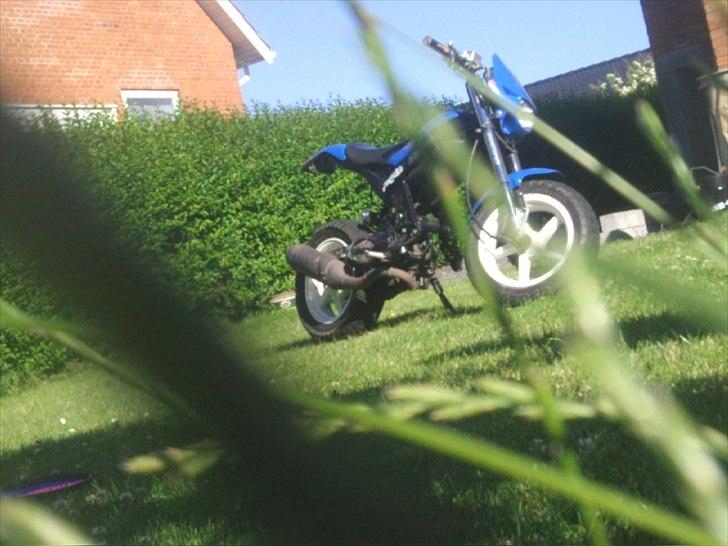 Suzuki street magic - projekt 11-  solgt billede 13