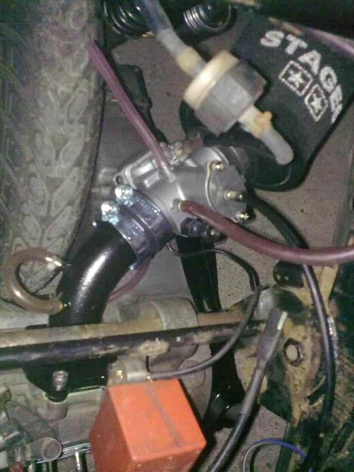 PGO black magic/Chamæleon billede 16