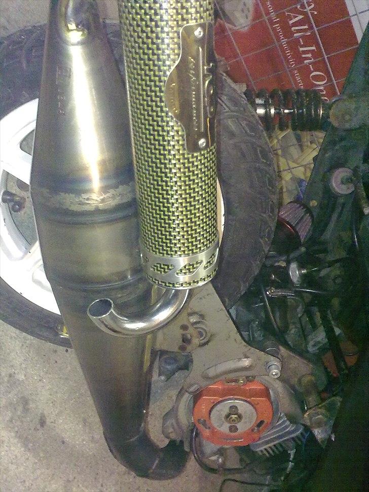 PGO black magic/Chamæleon billede 19