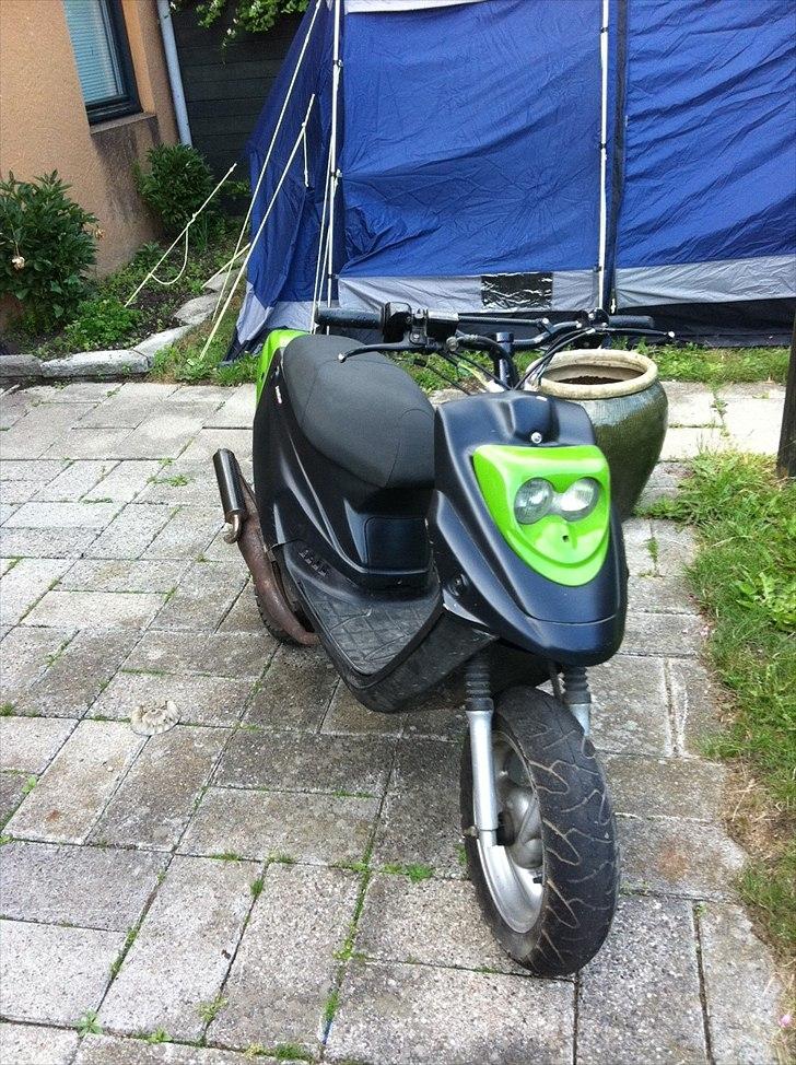 PGO Hot 50 billede 1