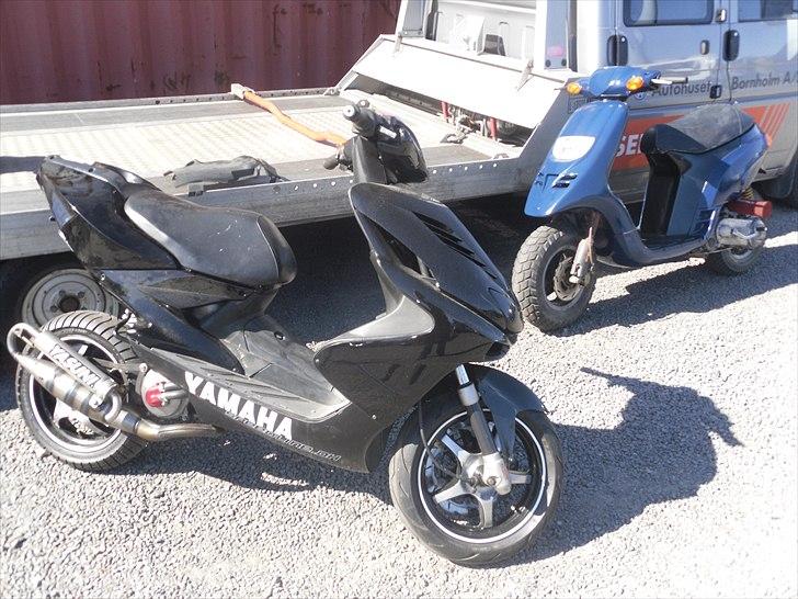 Piaggio Typhoon SD AC SOLGT - den ene rox og tyff billede 6