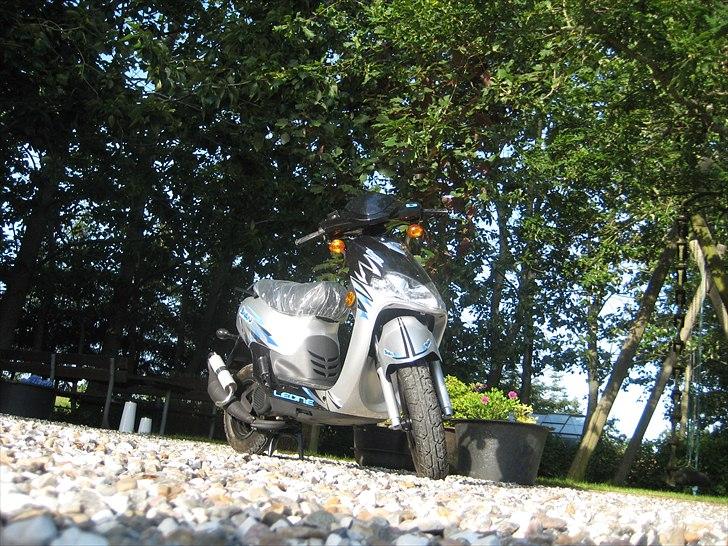 Leone Swan billede 1