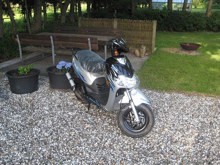 Leone Swan billede 2