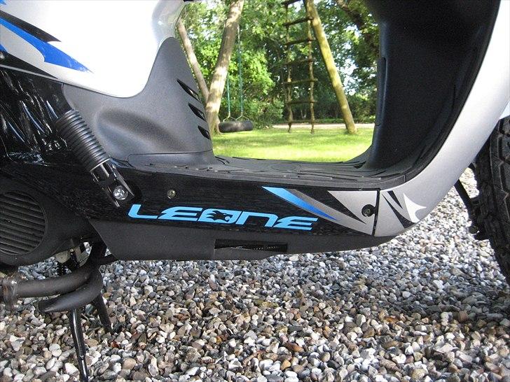 Leone Swan billede 3