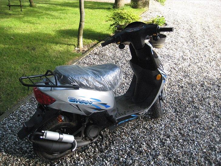 Leone Swan billede 4