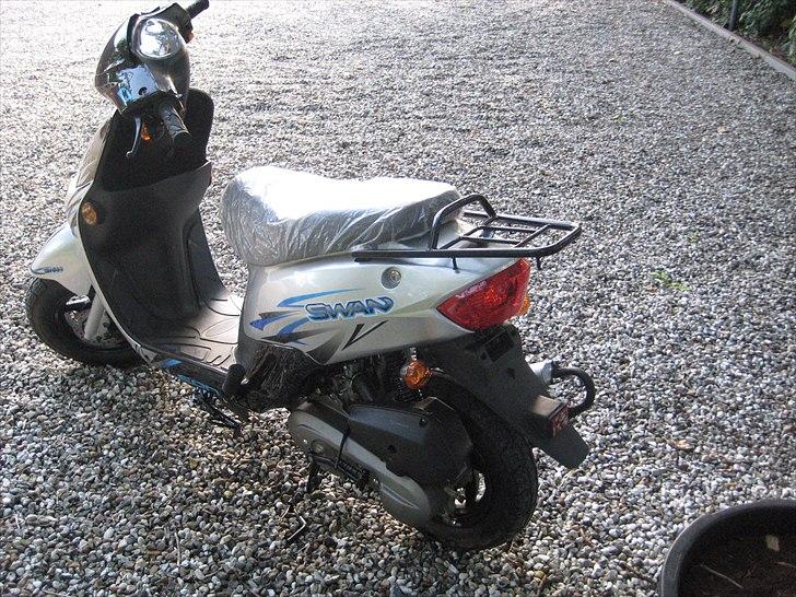 Leone Swan billede 6