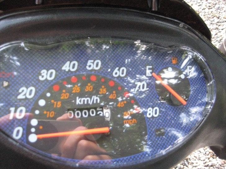 Leone Swan billede 7