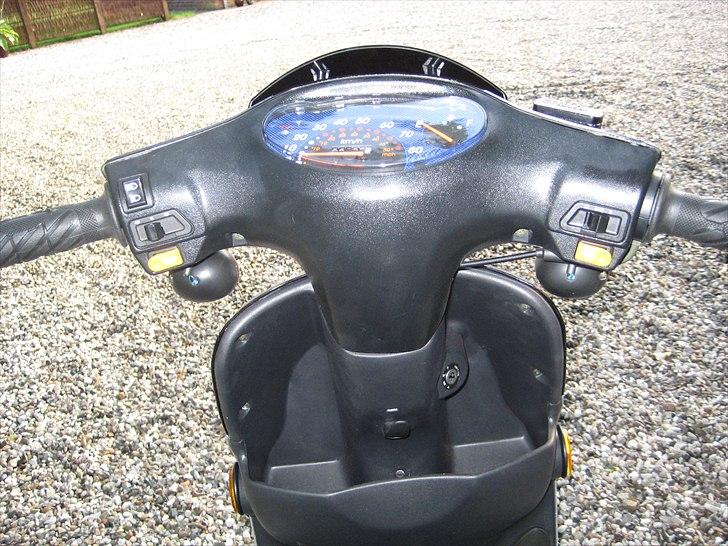 Leone Swan billede 8