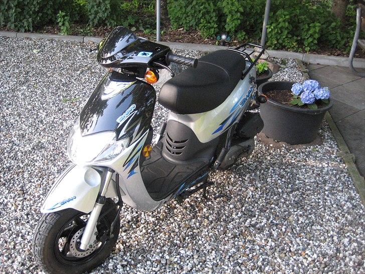 Leone Swan billede 9