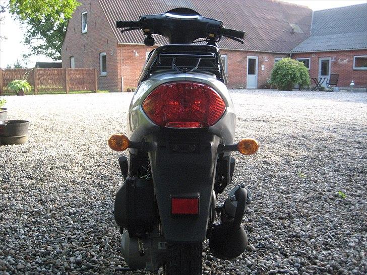 Leone Swan billede 10